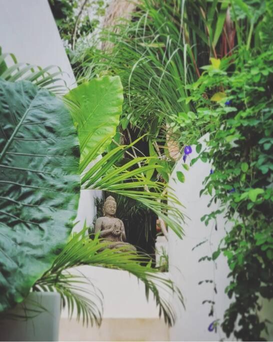 Nest Uluwatu - Eco Boutique Villa Esterno foto