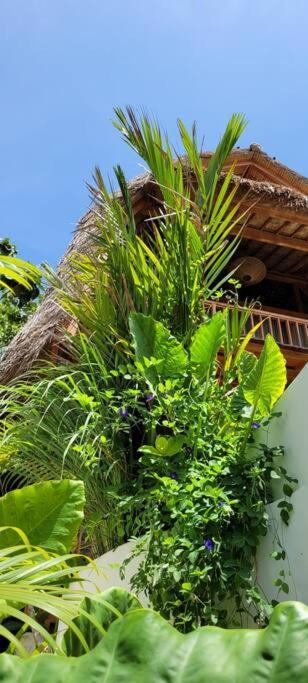 Nest Uluwatu - Eco Boutique Villa Esterno foto