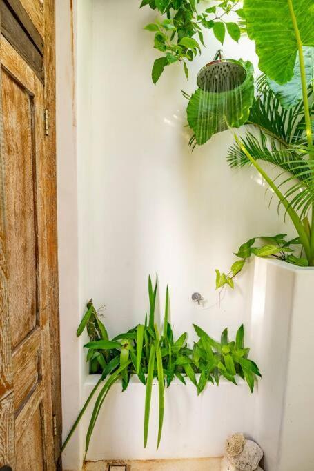 Nest Uluwatu - Eco Boutique Villa Esterno foto
